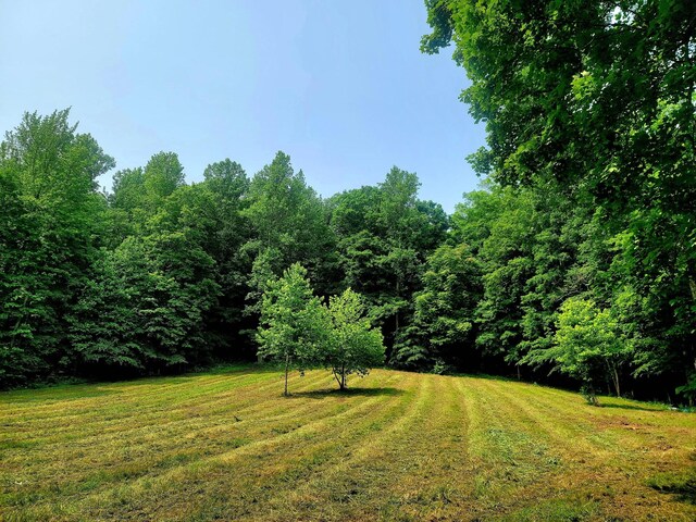 811 Borum Rd, Ashland City, TN 37015 - photo 57
