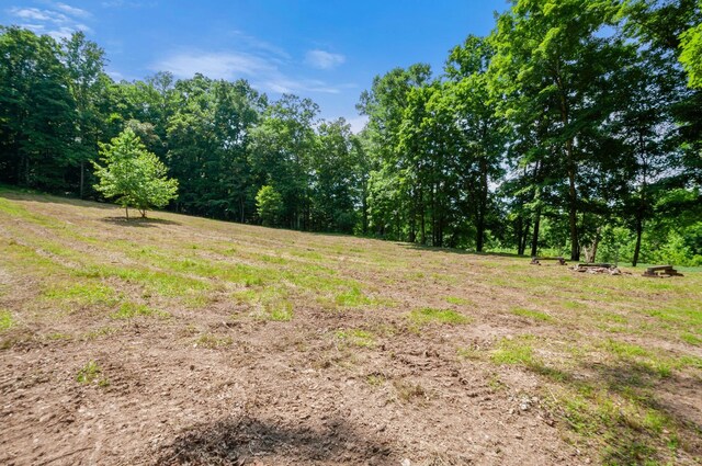 811 Borum Rd, Ashland City, TN 37015 - photo 51