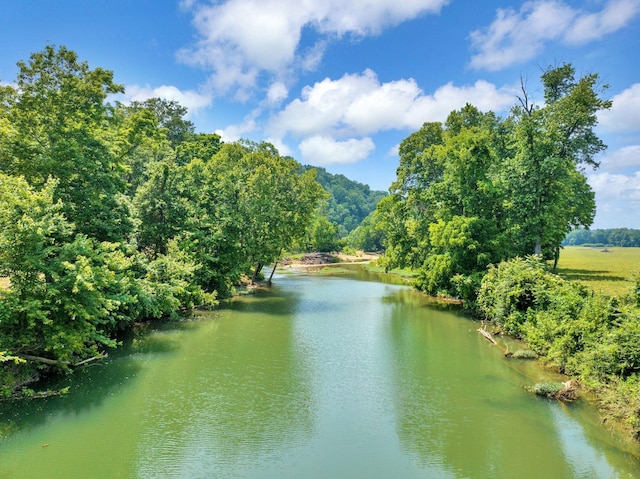 811 Borum Rd, Ashland City, TN 37015 - photo 1
