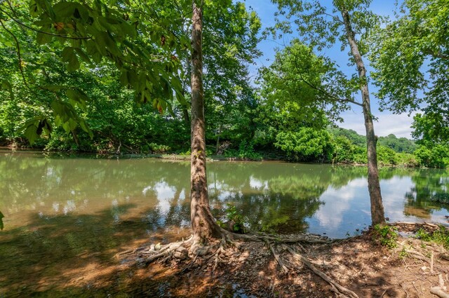 811 Borum Rd, Ashland City, TN 37015 - photo 39