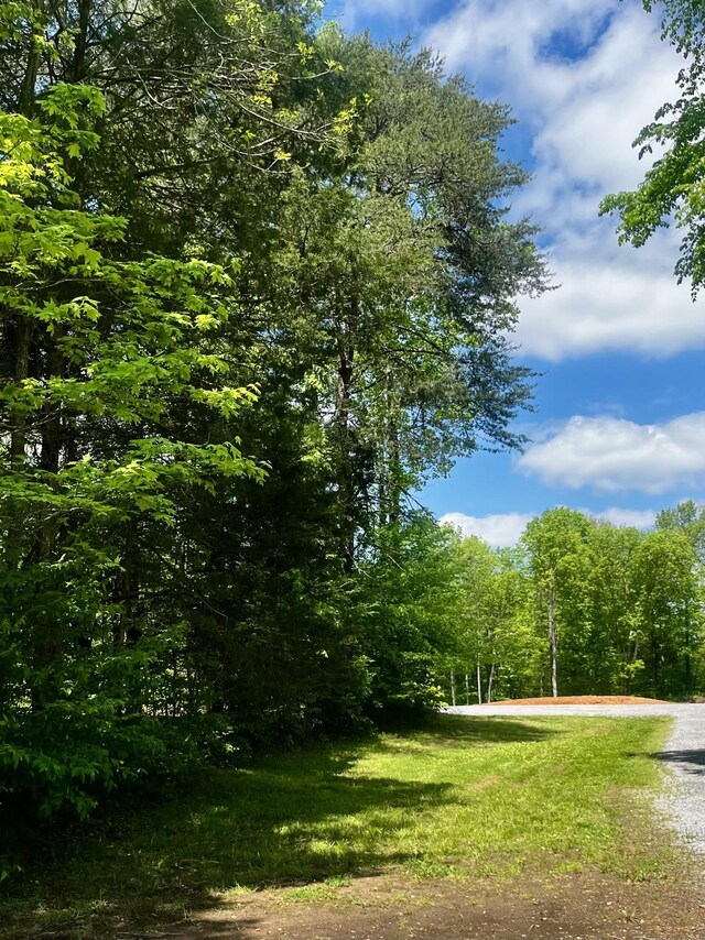 811 Borum Rd, Ashland City, TN 37015 - photo 43