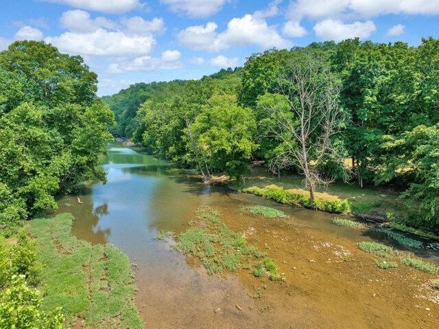 811 Borum Rd, Ashland City, TN 37015 - photo 65