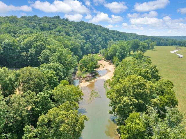 811 Borum Rd, Ashland City, TN 37015 - photo 66