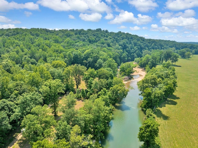 811 Borum Rd, Ashland City, TN 37015 - photo 8