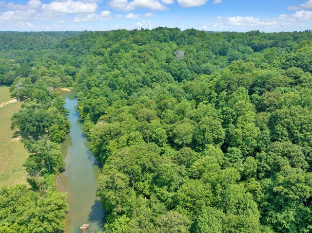 811 Borum Rd, Ashland City, TN 37015 - photo 59