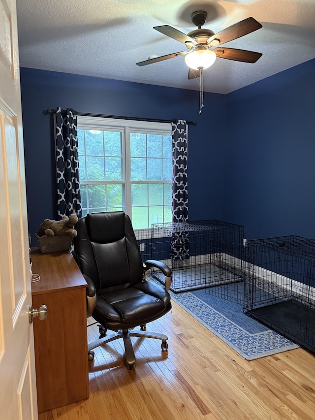 31 Chickory Ln, Monteagle, TN 37356 - office featuring wood finished floors, ceiling fan, and a textured ceiling