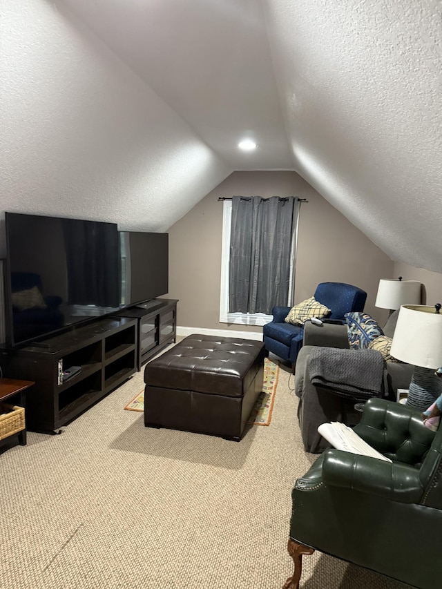 31 Chickory Ln, Monteagle, TN 37356 - cinema with lofted ceiling, carpet flooring, and a textured ceiling