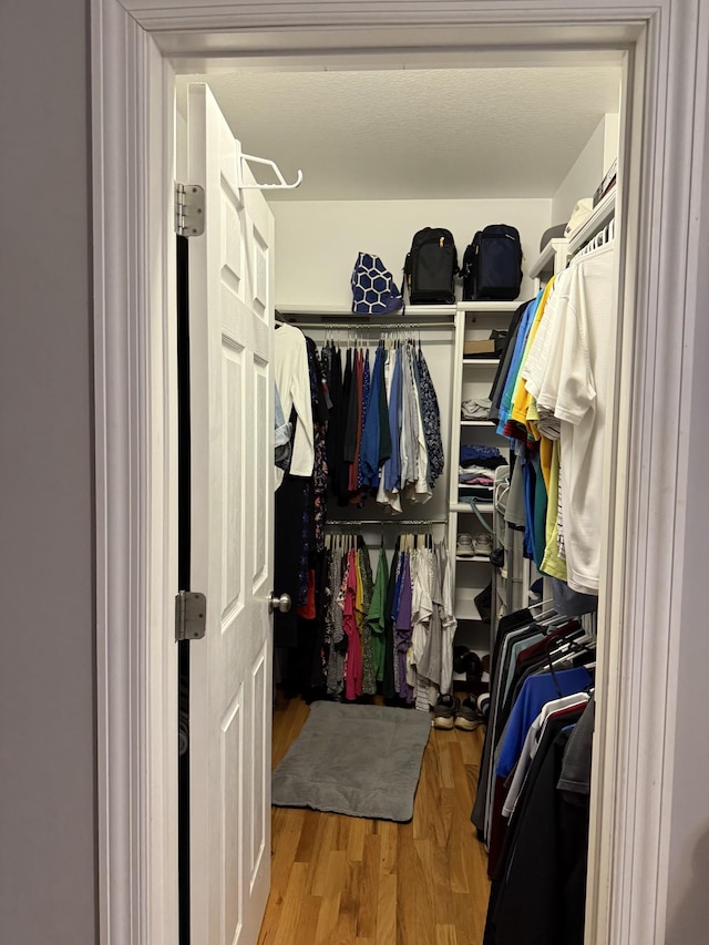31 Chickory Ln, Monteagle, TN 37356 - walk in closet with wood finished floors