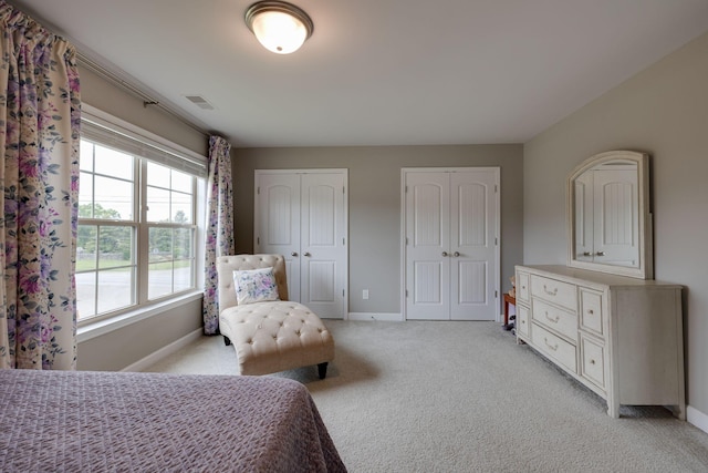 2001 Katach Ct, Spring Hill, TN 37174 - bedroom featuring two closets and light colored carpet