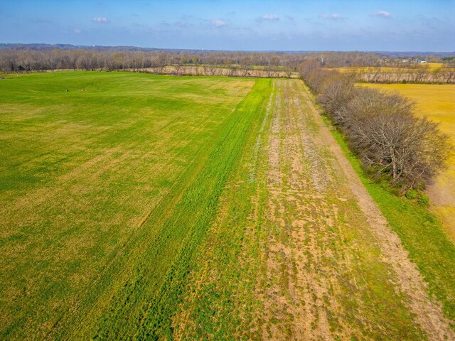 1 Armstrong Rd, Springfield, TN 37172 - photo 3