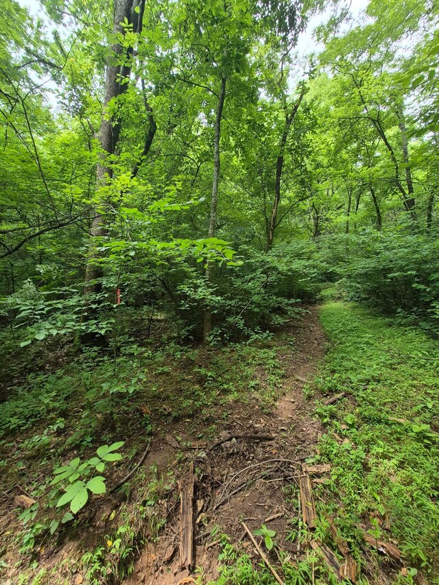 0 Williams Rd, Cornersville, TN 37047 - photo 11
