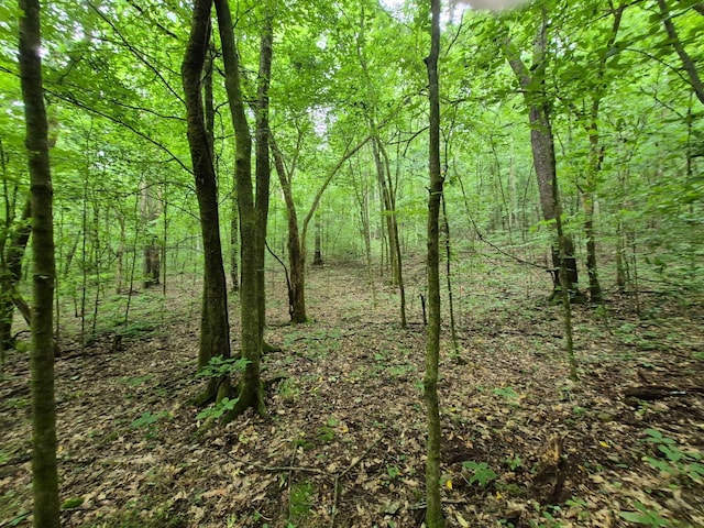 0 Williams Rd, Cornersville, TN 37047 - photo 13