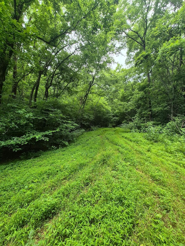 0 Williams Rd, Cornersville, TN 37047 - photo 1