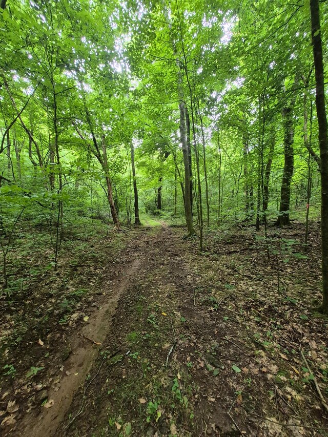 0 Williams Rd, Cornersville, TN 37047 - photo 17