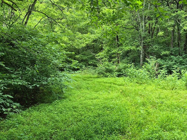 0 Williams Rd, Cornersville, TN 37047 - photo 5