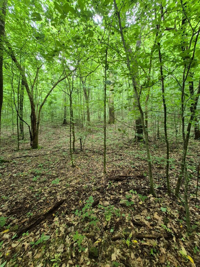 0 Williams Rd, Cornersville, TN 37047 - photo 12