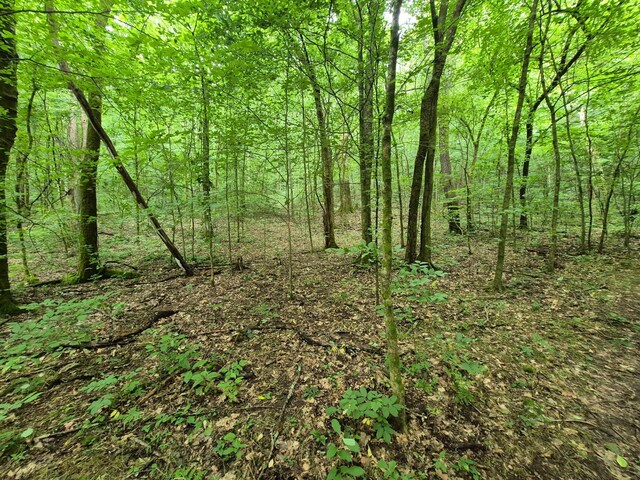 0 Williams Rd, Cornersville, TN 37047 - photo 14