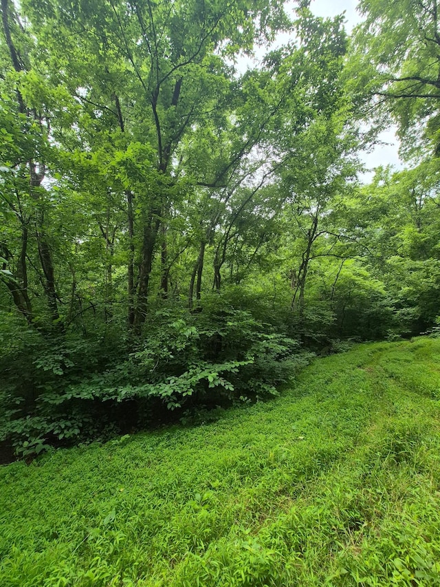 0 Williams Rd, Cornersville, TN 37047 - photo 3