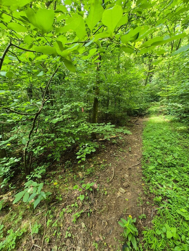 0 Williams Rd, Cornersville, TN 37047 - photo 7