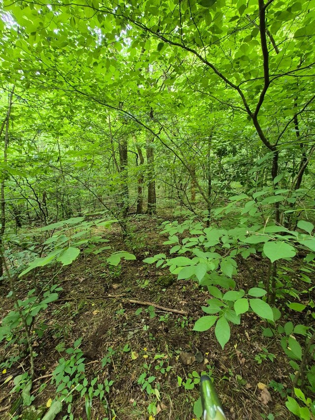 0 Williams Rd, Cornersville, TN 37047 - photo 16