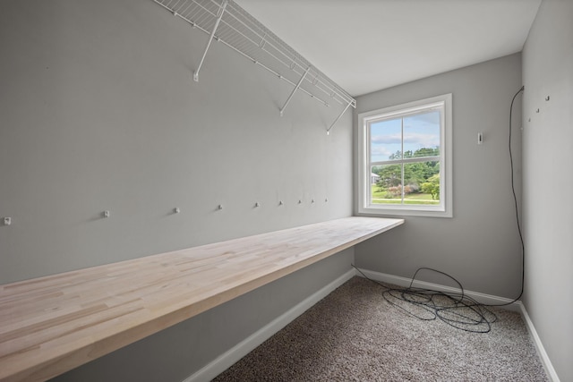 276 Indian Creek Rd, Cumberland Furnace, TN 37051 - walk in closet featuring carpet floors