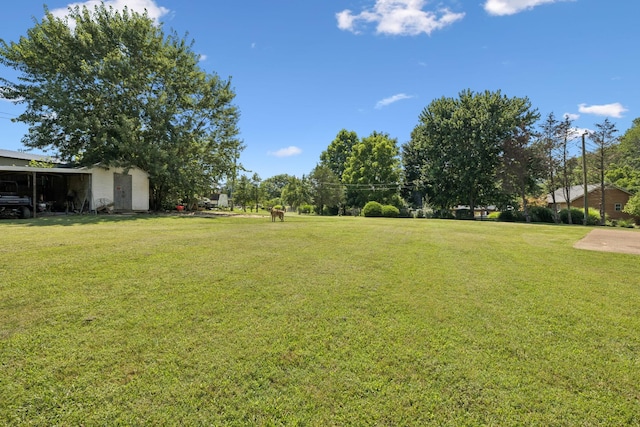 117 Ranch Rd, Portland, TN 37148 - photo 29