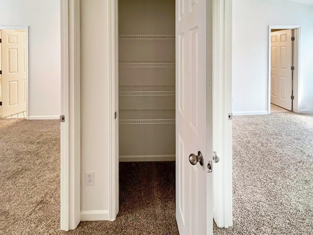 4017 Pavati Trce, Spring Hill, TN 37174 - view of closet