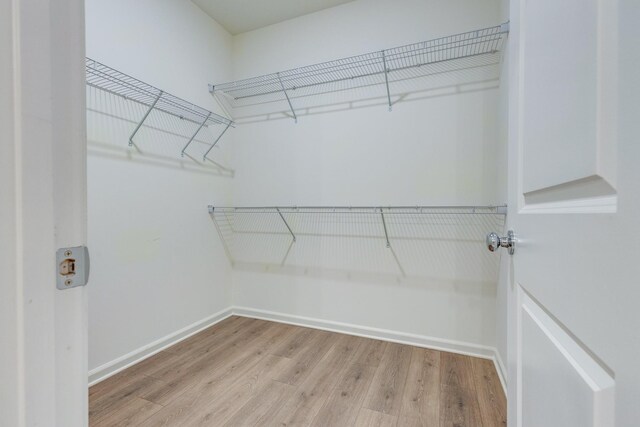 465 Multrees Pl, Smyrna, TN 37167 - photo 23
