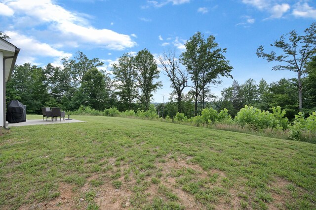 1176 Cottonwood Dr, Clarksville, TN 37040 - photo 24