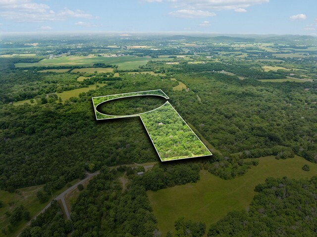 6167 Craddock Ln, Lascassas, TN 37085 - photo 48