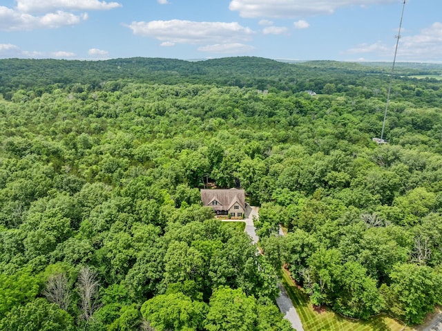 6167 Craddock Ln, Lascassas, TN 37085 - photo 47
