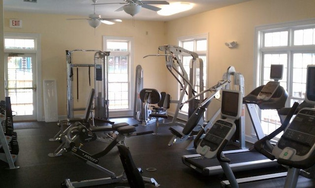 1033 Park Run Dr, Franklin, TN 37067 - exercise room featuring plenty of natural light and ceiling fan