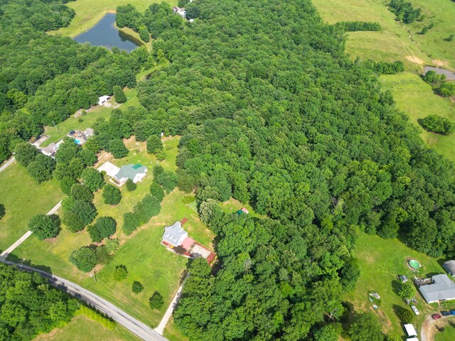 4045 Old Nashville Hwy, Mc Ewen, TN 37101 - photo 43