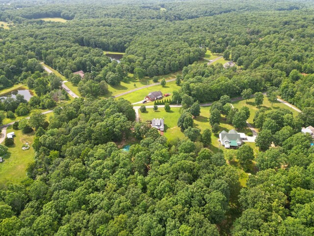 4045 Old Nashville Hwy, Mc Ewen, TN 37101 - photo 47
