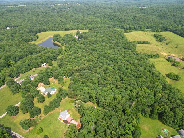 4045 Old Nashville Hwy, Mc Ewen, TN 37101 - photo 44