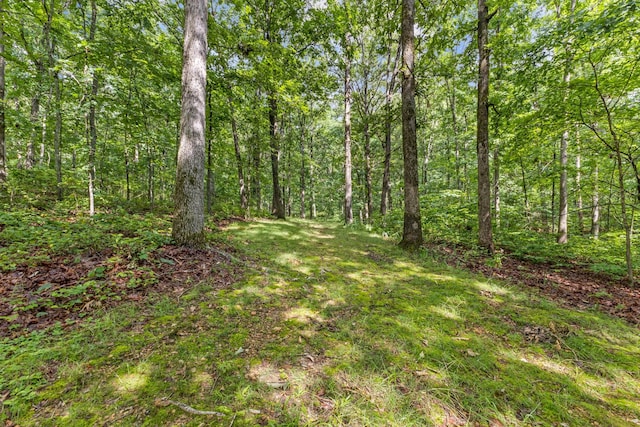 4045 Old Nashville Hwy, Mc Ewen, TN 37101 - photo 40