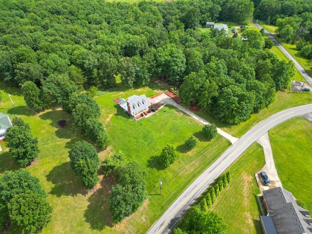 4045 Old Nashville Hwy, Mc Ewen, TN 37101 - photo 50