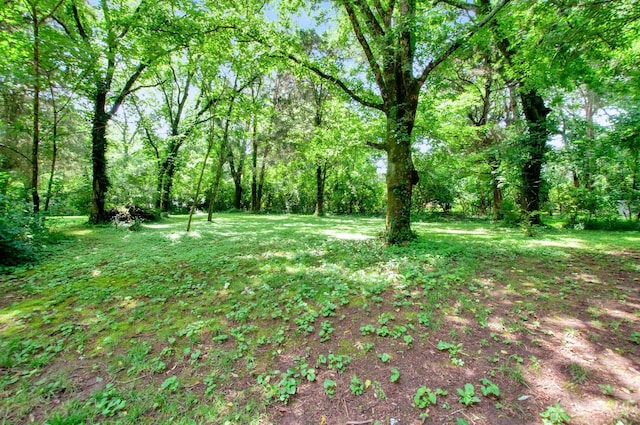 627 Georgetown Dr, Nashville, TN 37205 - photo 17