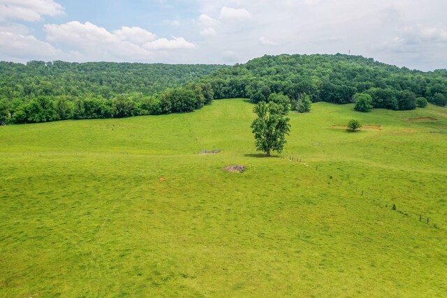 1364 Country Club Rd, Sparta, TN 38583 - photo 58