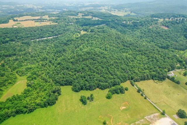 1364 Country Club Rd, Sparta, TN 38583 - photo 52