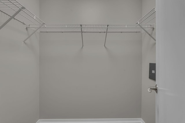 7352 Hidden Lake Cir, Fairview, TN 37062 - view of spacious closet