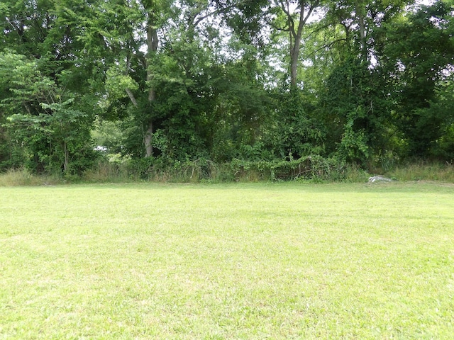 413 E Main St, Waverly, TN 37185 - view of grassy yard