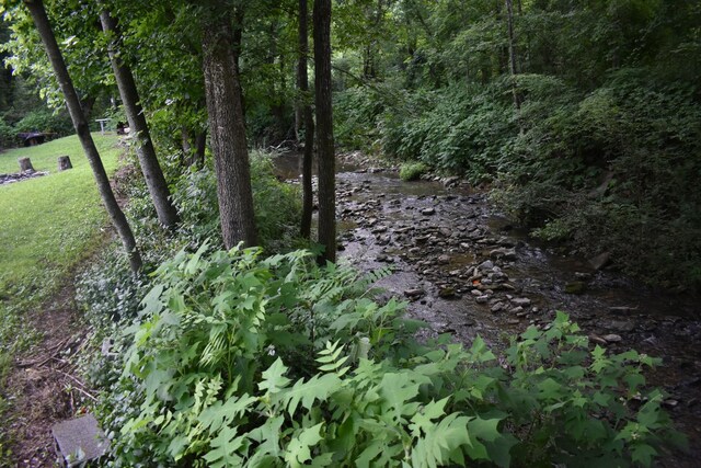 34 Thompson Hollow Rd, Carthage, TN 37030 - view of woods