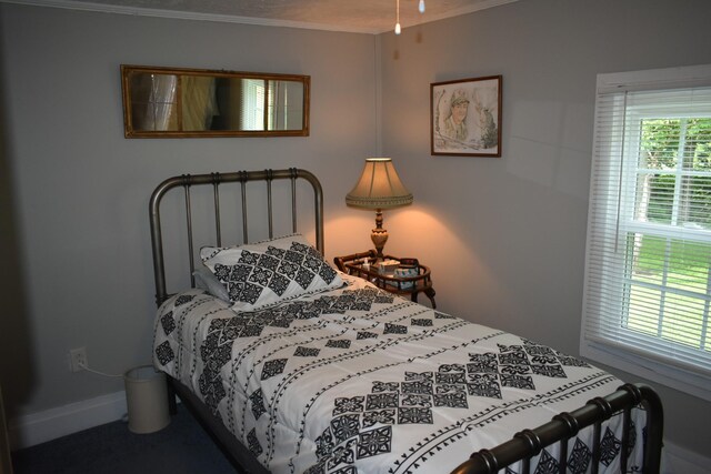 34 Thompson Hollow Rd, Carthage, TN 37030 - bedroom with ornamental molding