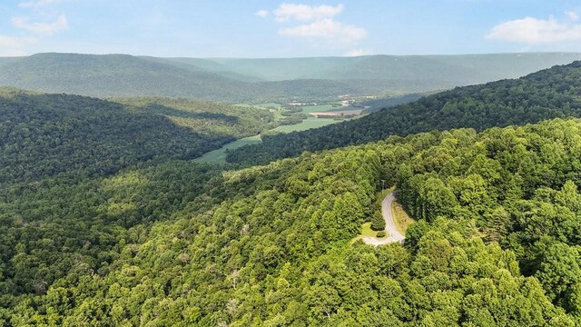 2875 Stage Coach Rd, Sewanee, TN 37375 - view of mountain backdrop with a heavily wooded area