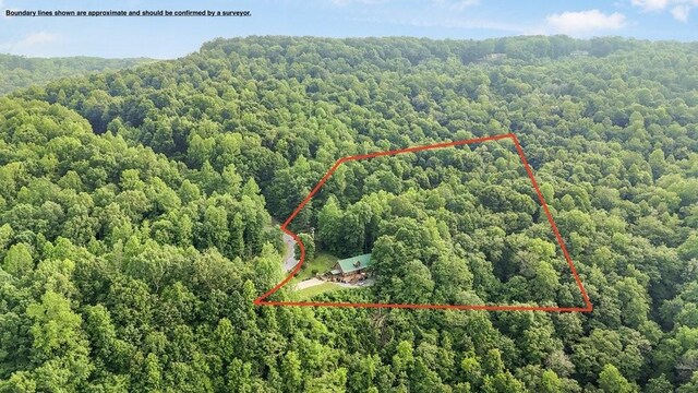 2875 Stage Coach Rd, Sewanee, TN 37375 - aerial view of property's location featuring a forest and property parcel outlined