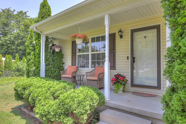 168 N Wagon Trl, Murfreesboro, TN 37128 - doorway to property featuring a porch