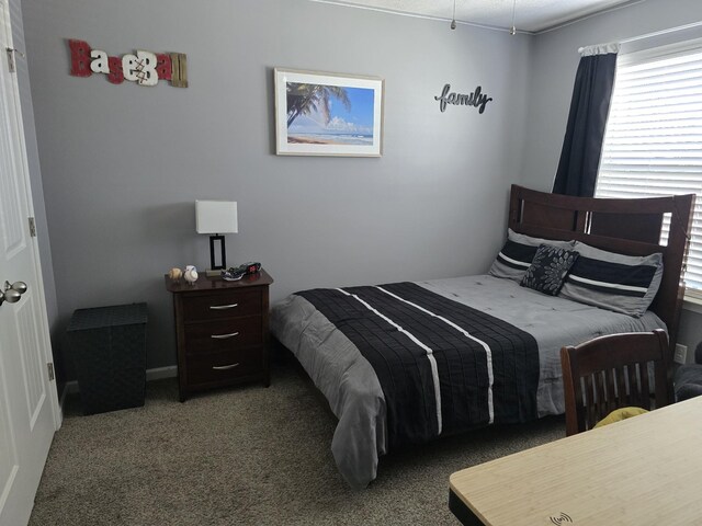1736 Bellamy Ln, Murfreesboro, TN 37128 - bedroom with carpet floors