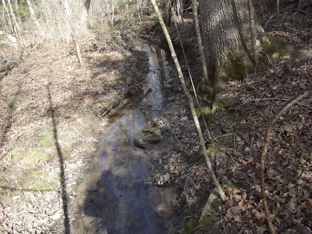 0 Keith Brewer Rd, Palmer, TN 37365