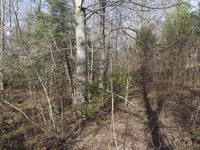 0 Keith Brewer Rd, Palmer, TN 37365